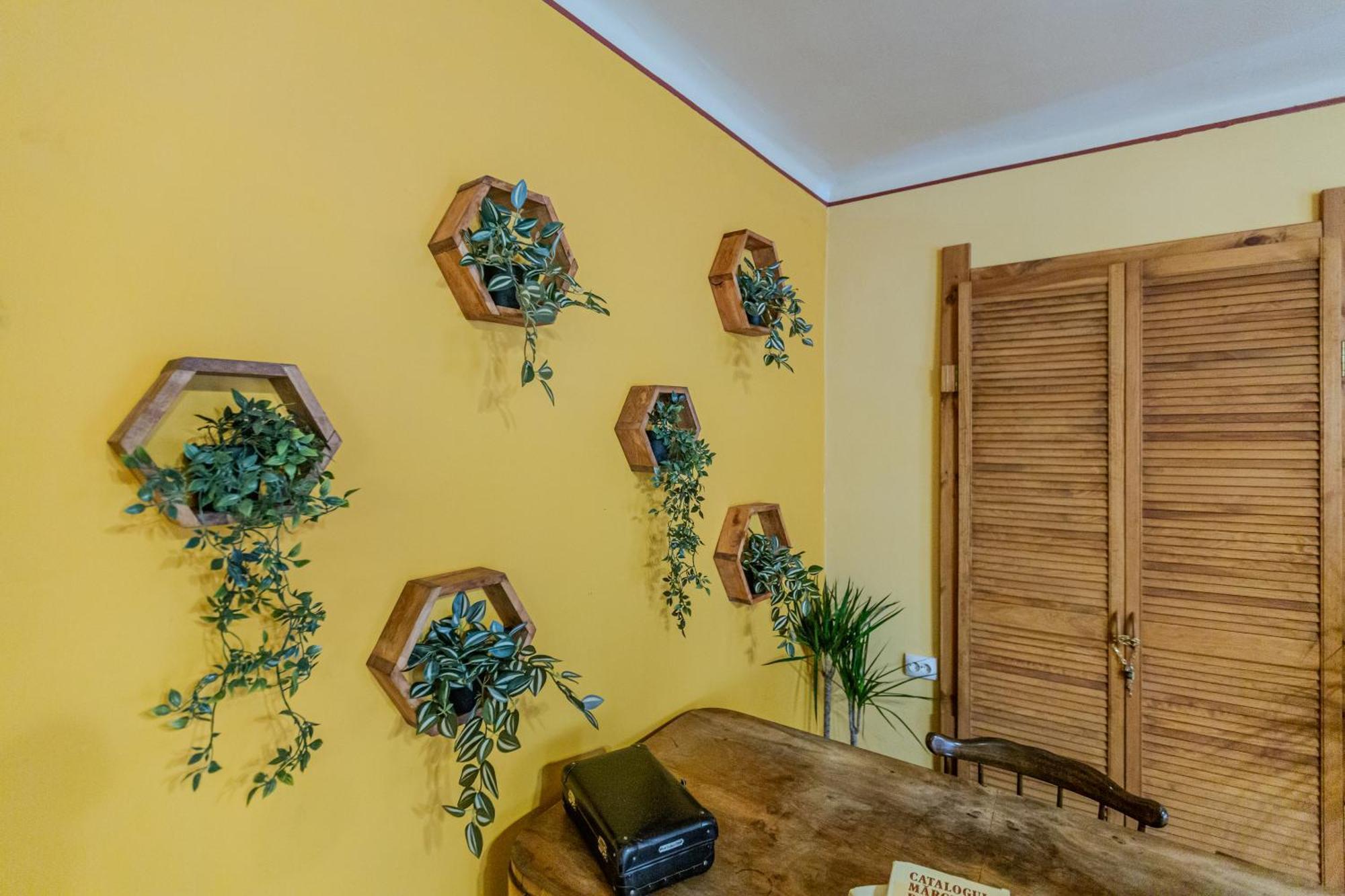 Tree House-Old Town Brasov Apartment Exterior photo